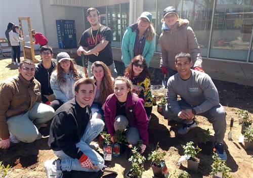A group of students planting a garden